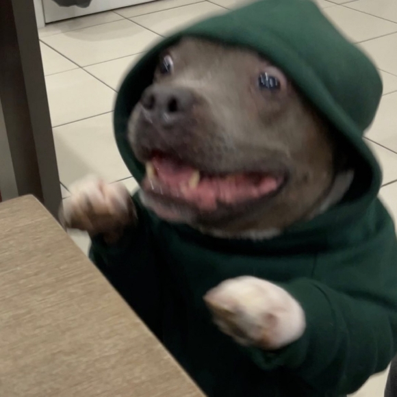 Trading Squish? - Picture 1 of 1